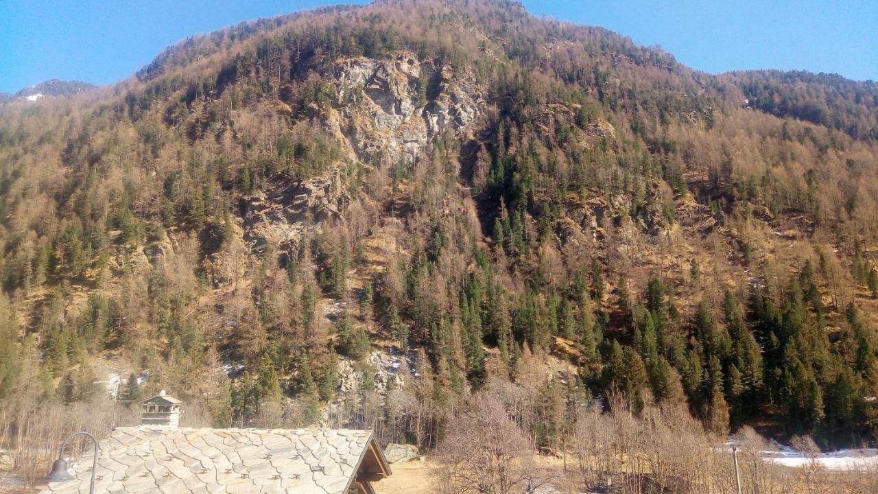 Nido Daire Champoluc Dış mekan fotoğraf